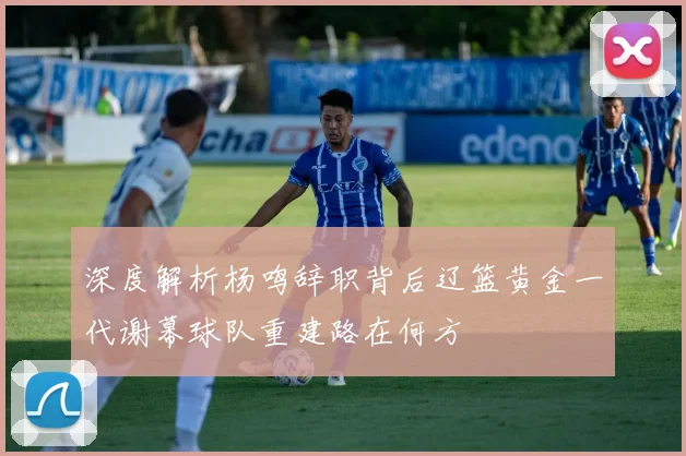 深度解析杨鸣辞职背后辽篮黄金一代谢幕球队重建路在何方