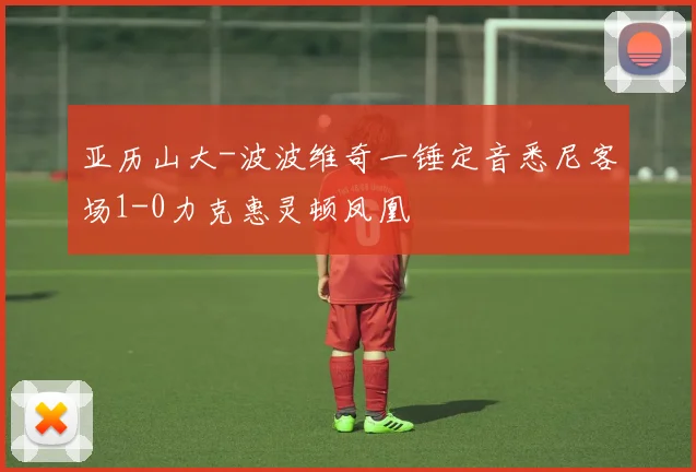 亚历山大-波波维奇一锤定音悉尼客场1-0力克惠灵顿凤凰