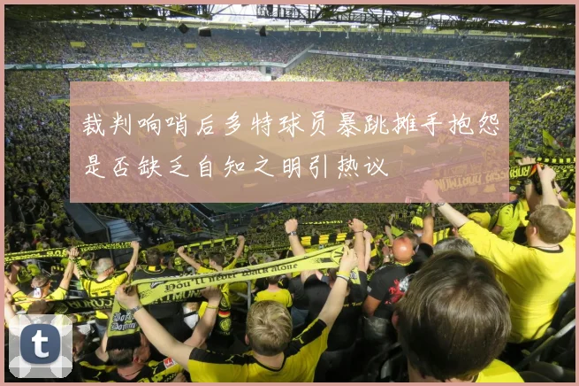 裁判响哨后多特球员暴跳摊手抱怨是否缺乏自知之明引热议