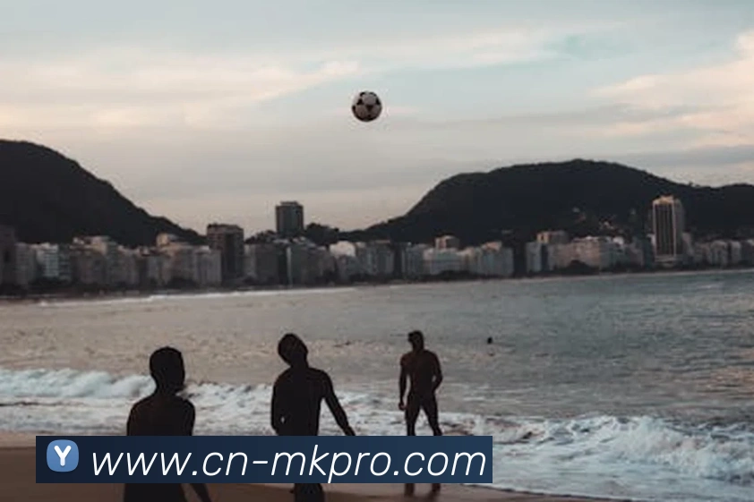 App Interface Preview